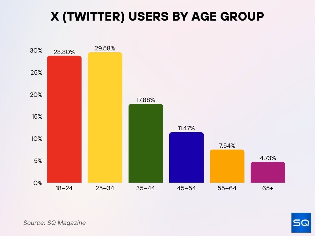 X (Twitter) Users by Age Group