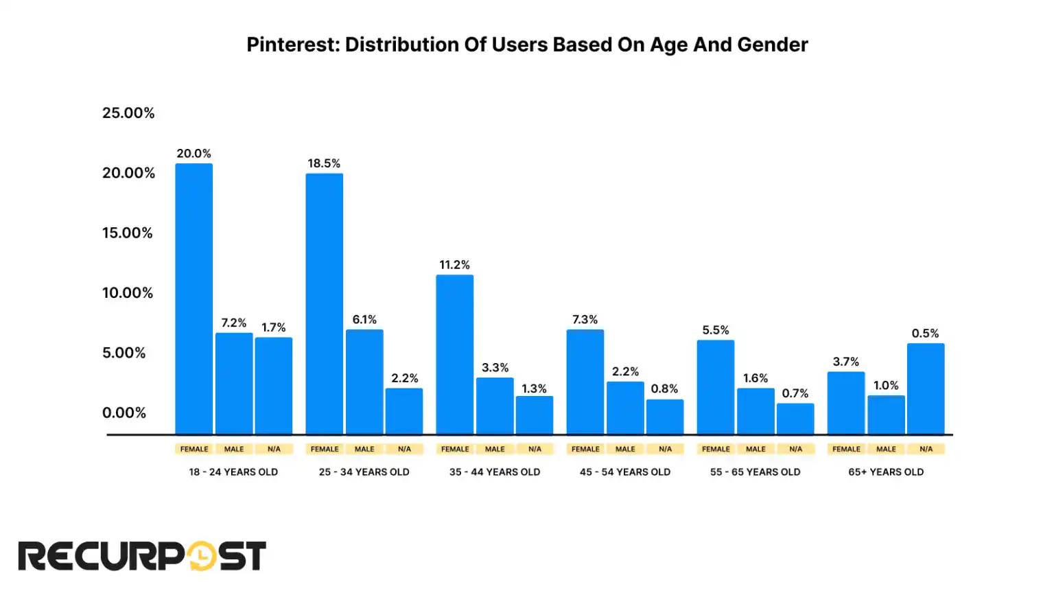 Pinterest User Demographics by Age and Gender