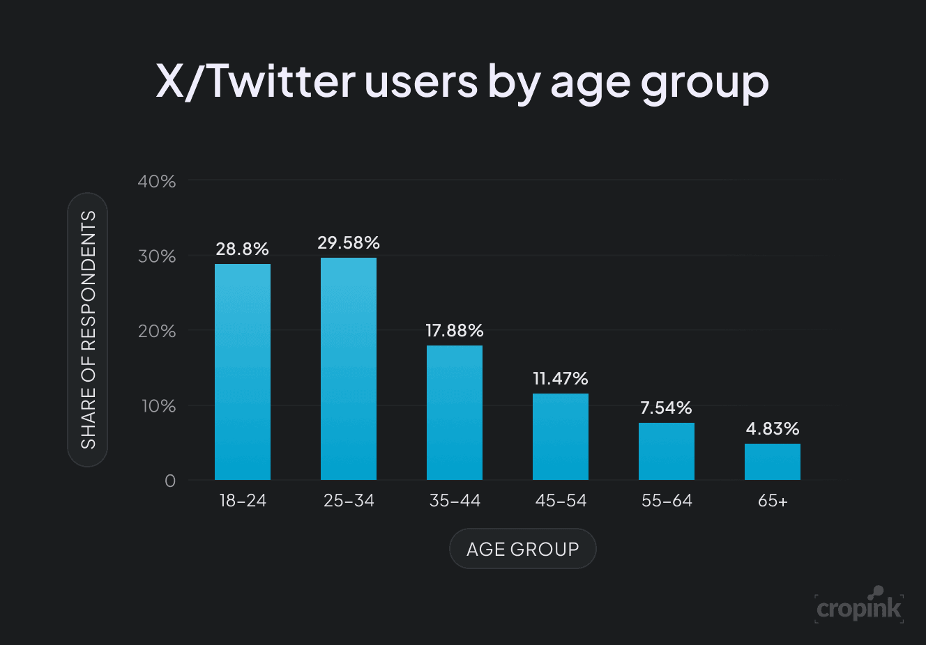 X (Twitter) Users by Age Group