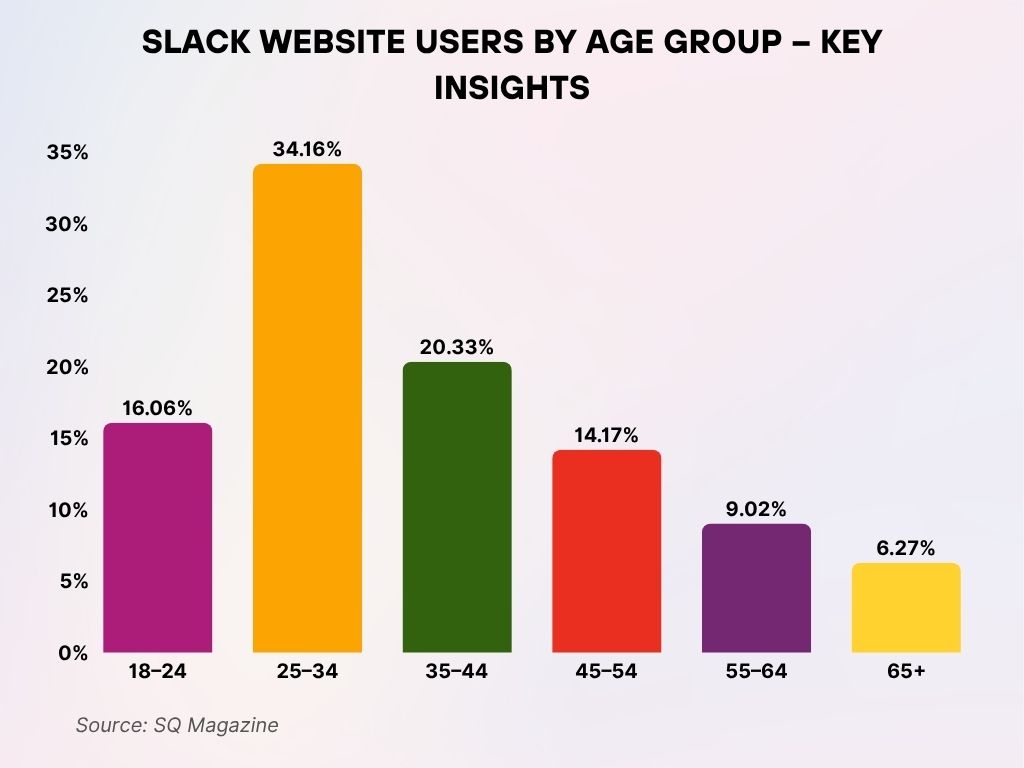 Slack Website Users by Age Group – Key Insights Slack Website Users by Age Group – Key Insights