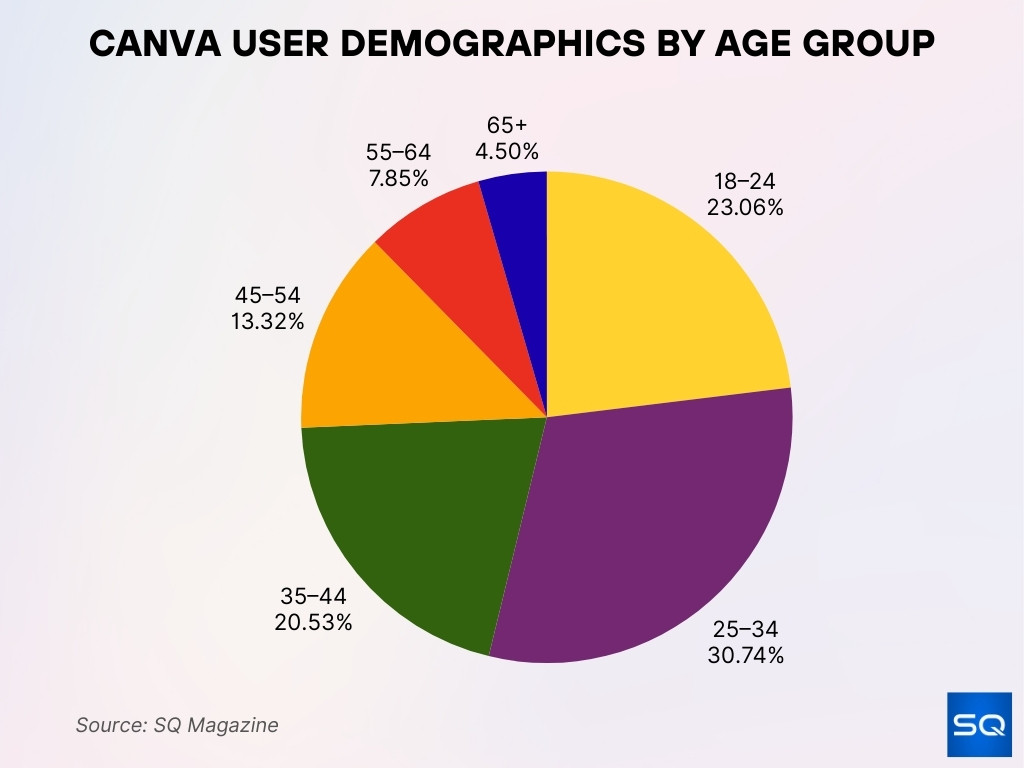 Canva User Demographics by Age Group Canva User Demographics By Age Group