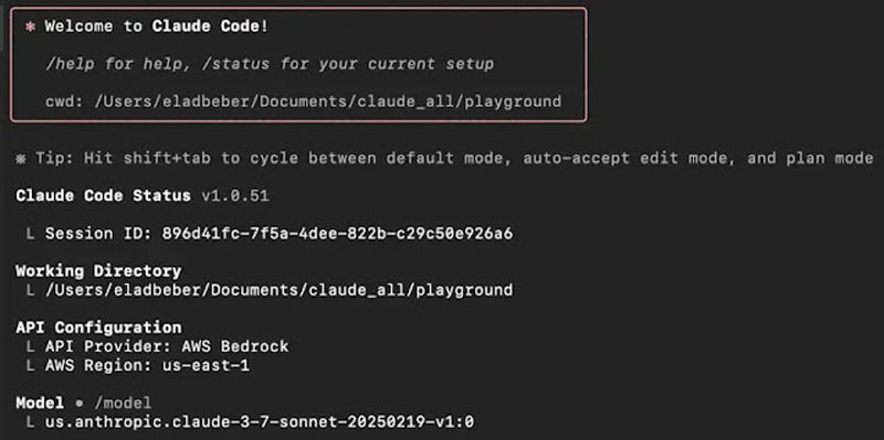 Cluade Code Image