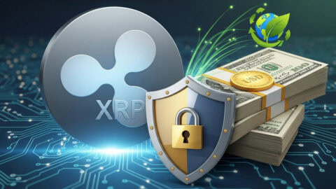 Quickly Make Money From XRP Mining, Turn Your Holdings Into Cash Flow, and Easily Earn $9707 a Day