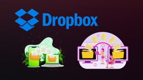 How Many People Work At Dropbox 2025: Employee Count, Growth & Layoffs