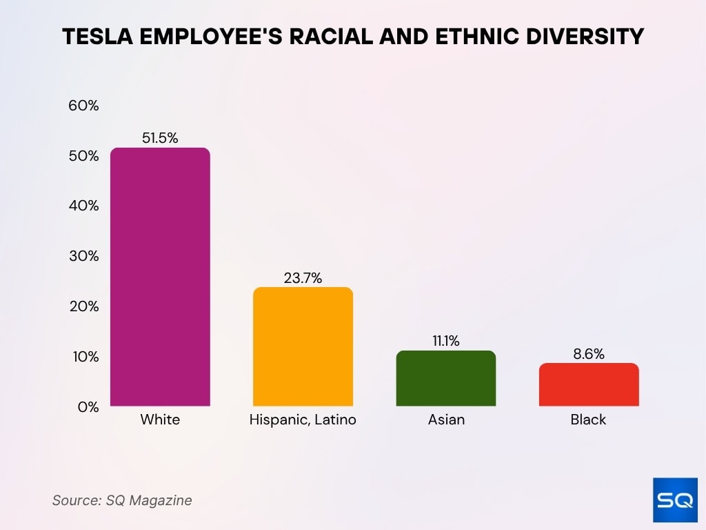 Tesla Employee's Racial and Ethnic Diversity