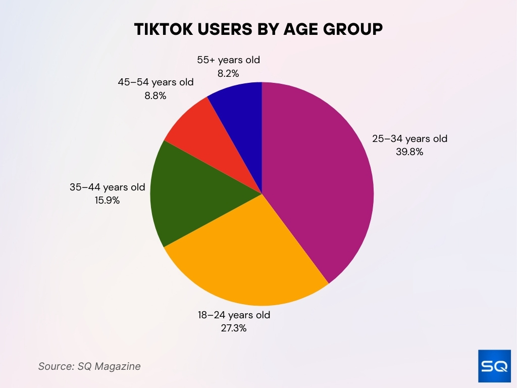 TikTok Users by Age Group TikTok Users by Age Group