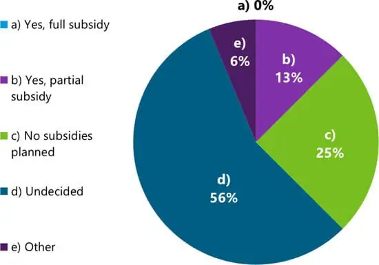 CBDC Subsidy Strategies