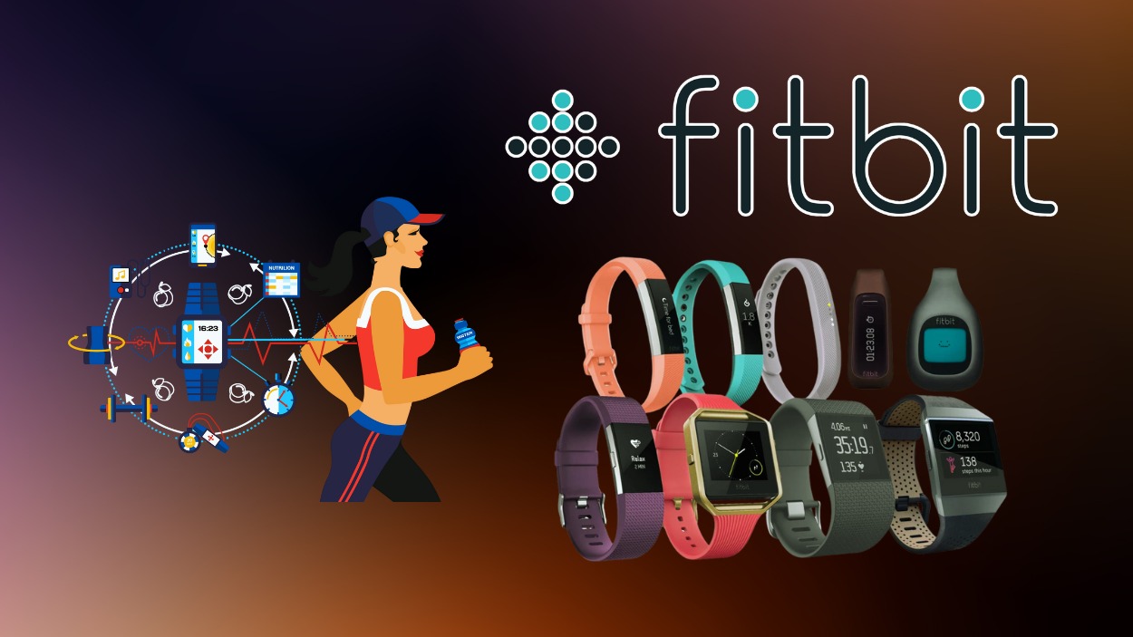 Fitbit Statistics