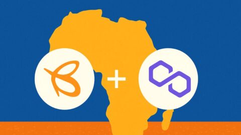 Flutterwave Teams Up with Polygon to Launch Stablecoin Payments Across Africa