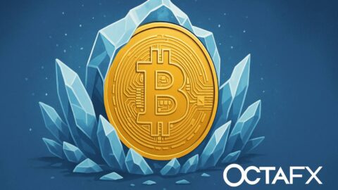 India Freezes $271M in Crypto in Major Crackdown on OctaFX Forex Fraud