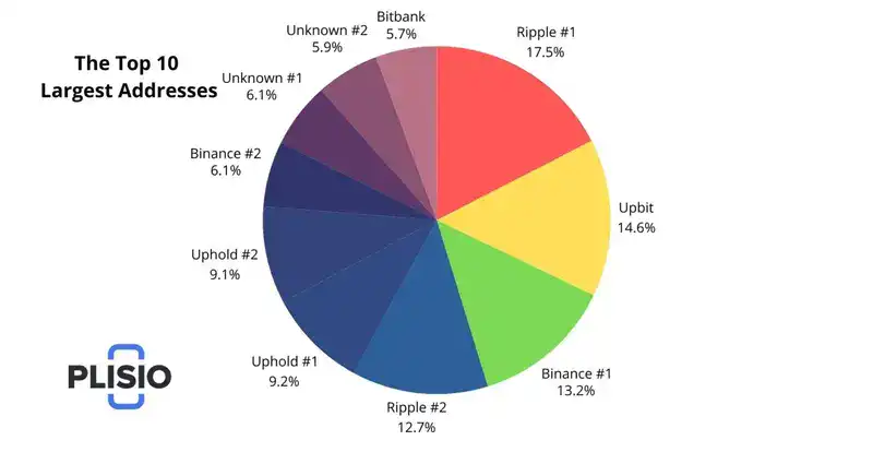 Largest XRP Holders: Breakdown of the Top 10 Wallets