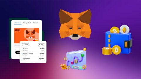MetaMask Wallet Statistics 2025: The Rise of Web3 Users