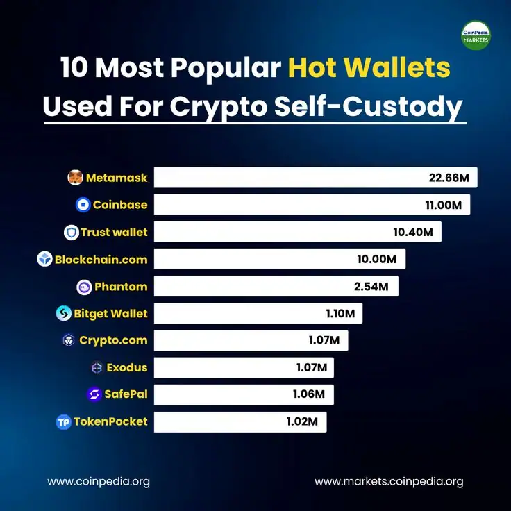 Most Popular Hot Wallets For Crypto Self Custody