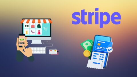 Stripe Statistics 2025: Key Insights Behind Its Trillion-Dollar Surge