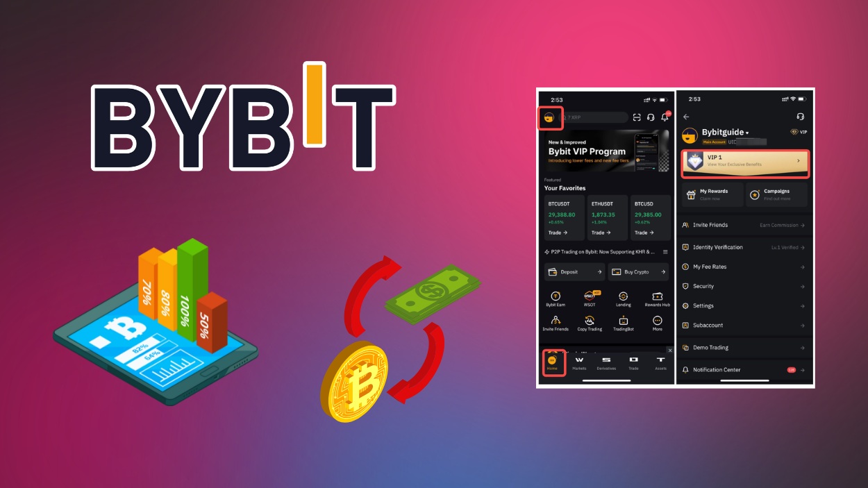 Bybit Statistics