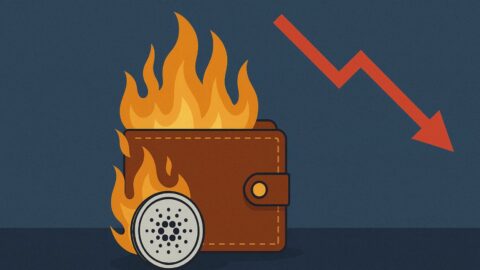 Dormant Cardano Wallet Loses $6M in Costly Stablecoin Swap Error