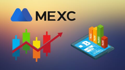 MEXC Statistics 2025: Shocking Growth Unveiled