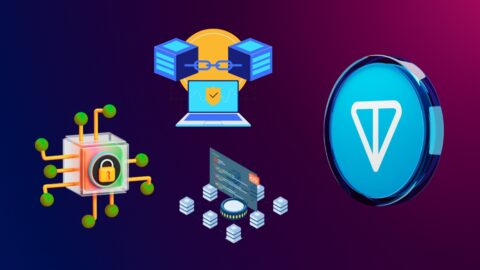 Toncoin Statistics 2025: Wallets, Value & Velocity