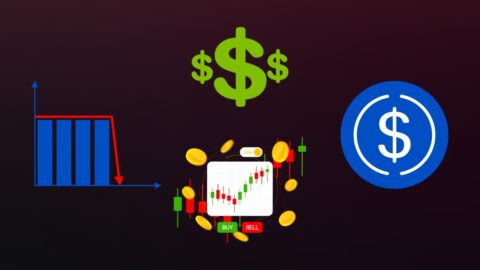 USD Coin (USDC) Statistics 2025: What You Must Know
