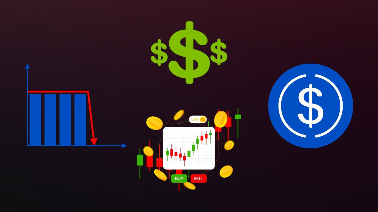 USD Coin (USDC) Statistics