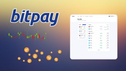 BitPay Statistics 2025: Is Crypto Going Mainstream?