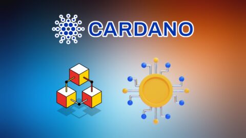 Cardano ADA Statistics 2025: Growth, Usage, Power