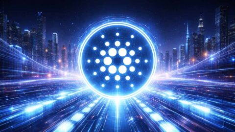 Cardano Gets a Performance Boost with VECTOR Expansion Chain