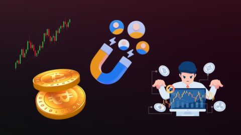 Crypto User Demographics Statistics 2025: Inside the New Wave