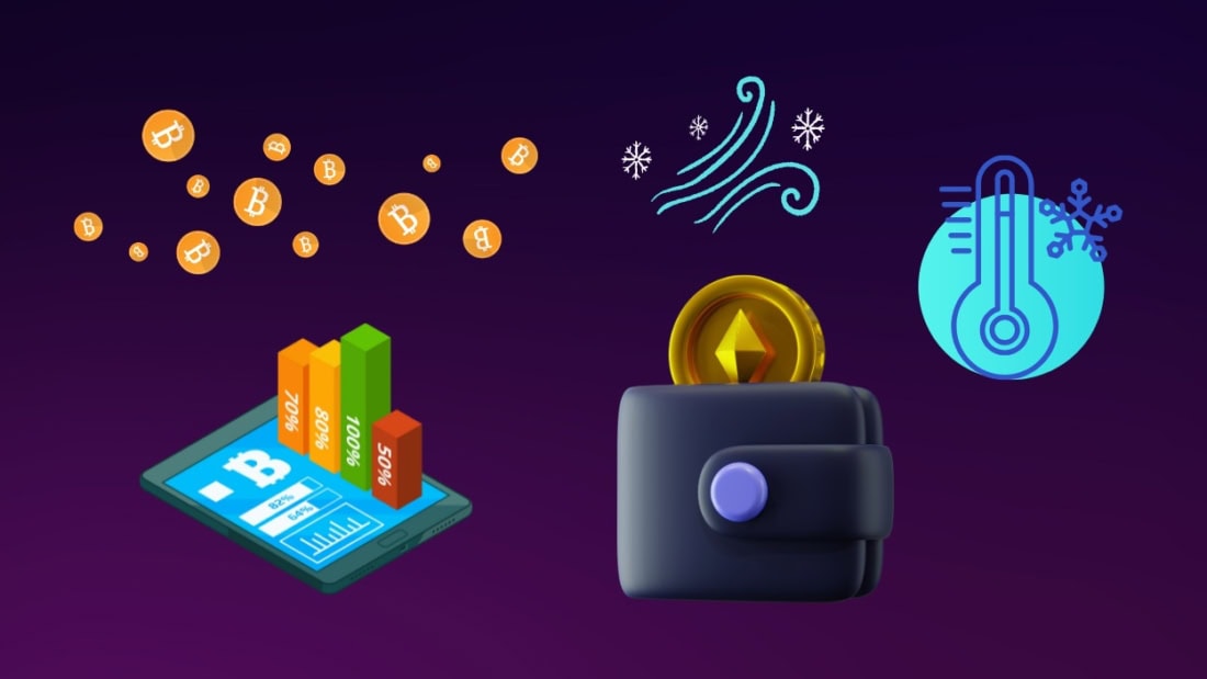 Cryptocurrency Cold Wallet Statistics