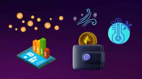 Cryptocurrency Cold Wallet Statistics 2025: Shocking Growth Facts