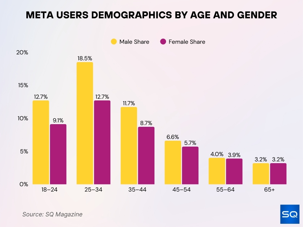 Meta Users Demographics By Age And Gender