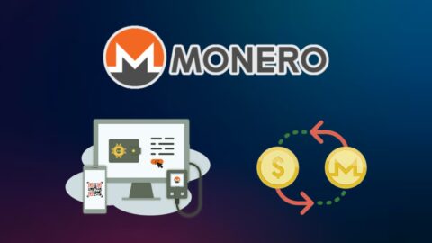 Monero Statistics 2025: Surprising Trends Revealed