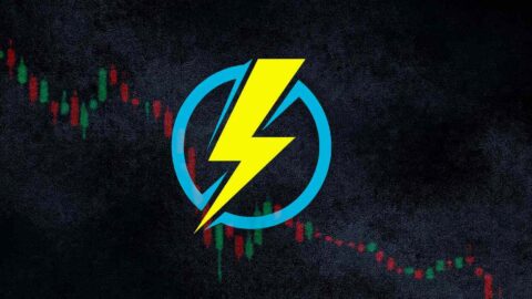 Piggycell Project in Crisis After PIGGY Token Meltdown Triggers Investor Panic