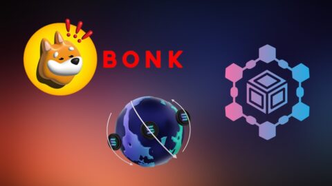 BONK Coin Statistics 2026: Risk, Reward, and ROI