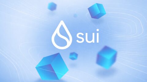 Sui Blockchain Suffers Second Major Stall, Disrupts Transactions