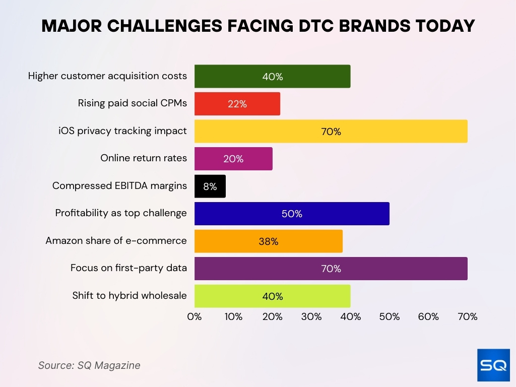 Major Challenges Facing DTC Brands Today