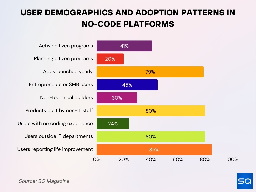 User Demographics and Adoption Patterns in No-Code Platforms