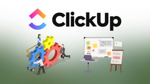 ClickUp Statistics