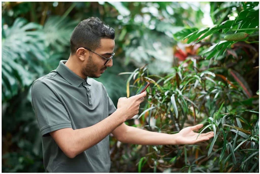 Mobile Ai Plant Recognition Technology