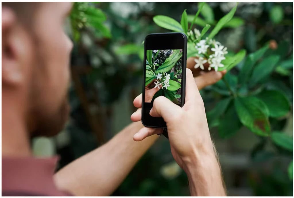 Smart Plant Care App User Experience