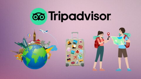 TripAdvisor Statistics