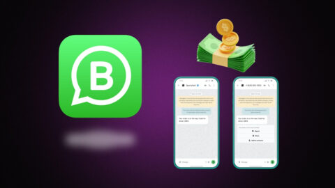WhatsApp Business Statistics